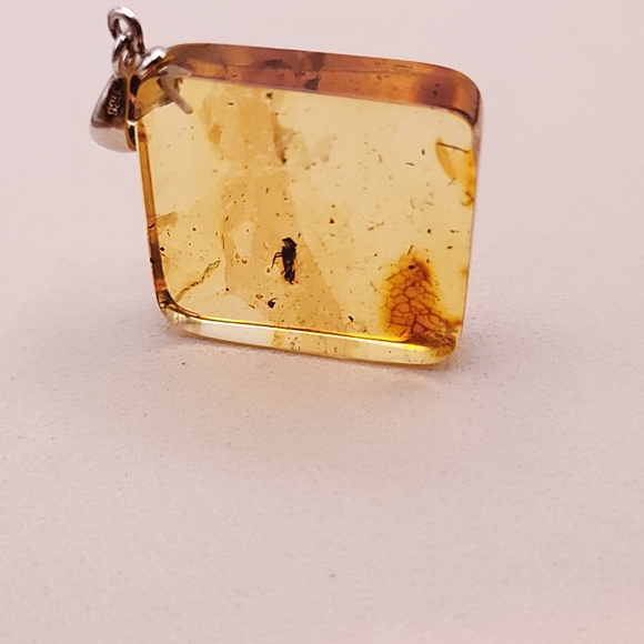 Baltic Amber pendant with insect inclusion - Picture 3 of 5